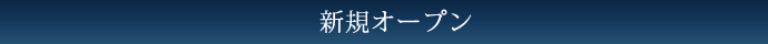 新規プロジェクト