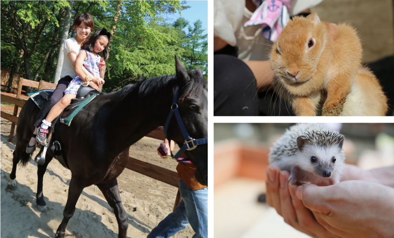 動物ふれあい広場