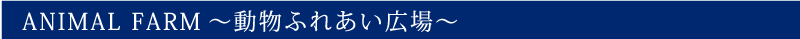 動物ふれあい広場