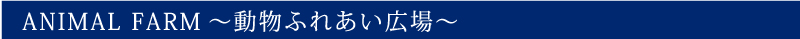 動物ふれあい広場